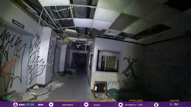 Abandoned compound explorers get jumpscared by dog