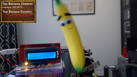 I found a talking banana on IRL
