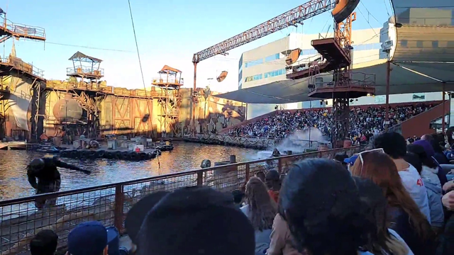Minx goes to a water show and is surprised she gets wet.