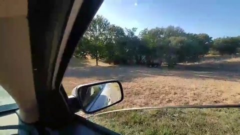Tyler1's brother gets abandoned in the middle of the Savannah