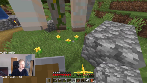 Streamer tries to cheat iron golem in hardcore minecraft