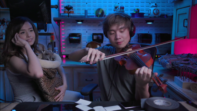 Violin for the Kangaroo