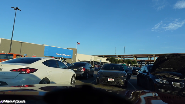 Knut encounters the average Texas driver