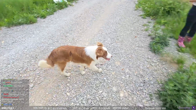 Jinny makes a friend in rural Romania after her crash