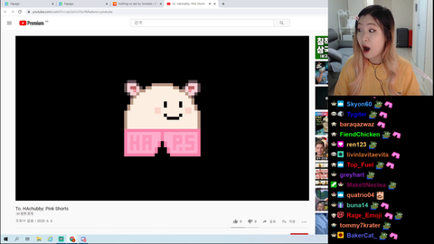 HAchubby viewer pink shorts song