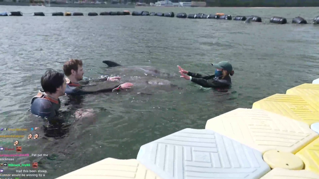 Connor (CDawgVA) receives love and kisses from a dolphin