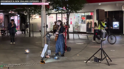 Rock nearly hits live street performer in Sydney