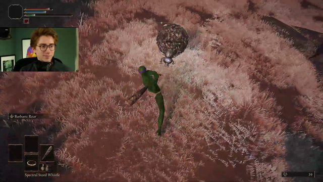 Expert Souls Game player Clint Stevens destroys a dung beetle