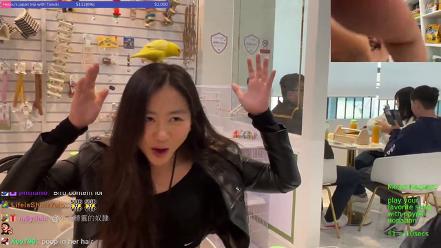 Mhyochi gets pooped on the head by bird on Exbc stream