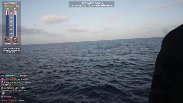 Pod of Dolphins