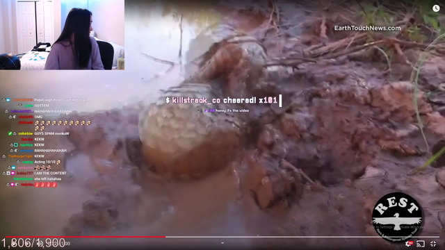 Actual 2Head