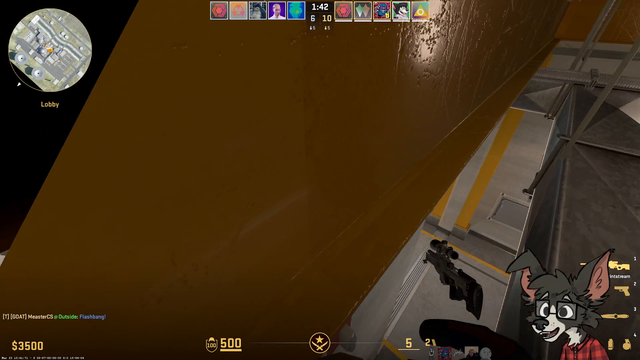 DumbDog experiences the new Counter-Strike meta