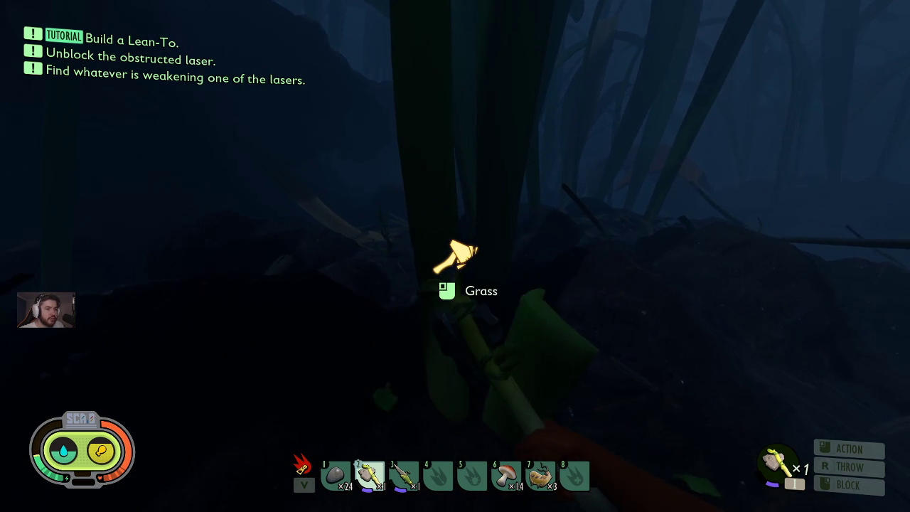 Streamer finds his first spider of the night