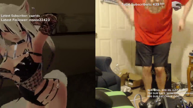 Small VRChat streamer is raided with the worst timing