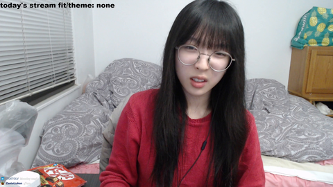 wholesome streamer says goodbye to her chat