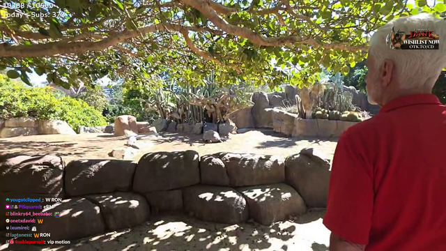 A 141 Years Old "Grandma" in San Diego Zoo