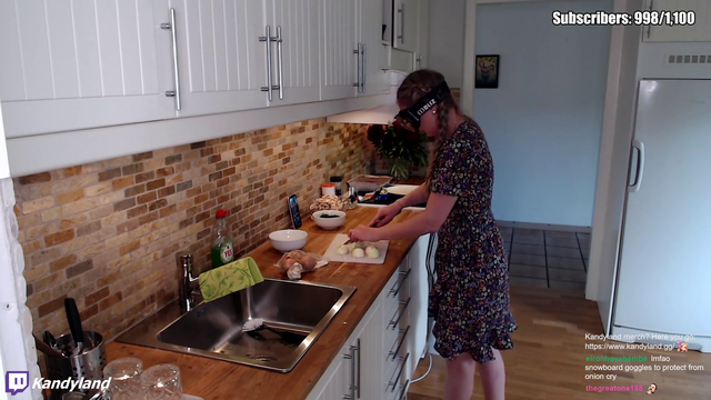 Swedish streamer snowboarding in the kitchen