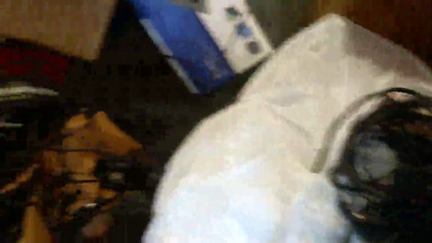 Lirik first IRL stream LULW