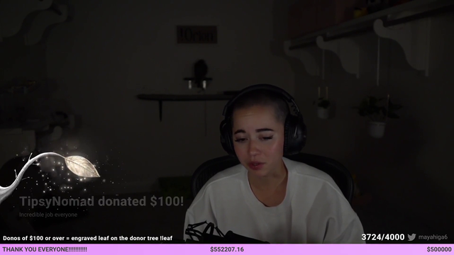 Maya's plans for Alveus after the fundraising charity stream