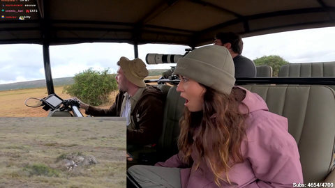 Maya and Adapt encounter a wild Cheetah eating his prey