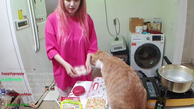 Cat defends itself from evil HAchubby