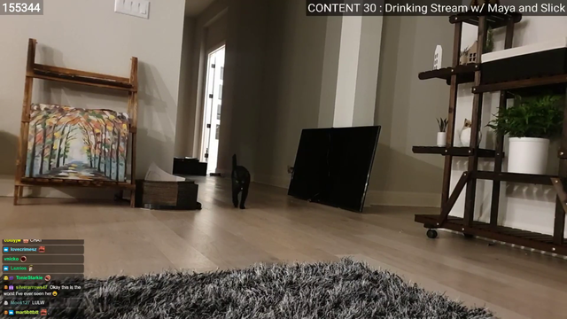Cat fight at Mizkifs house