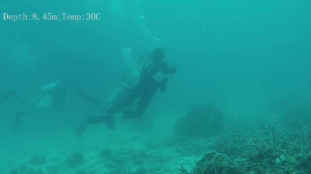 Scuba Diving Stream with a Underwater Drone