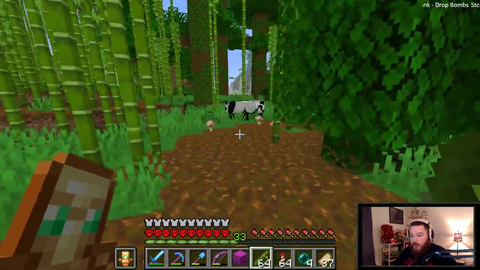 Pandas are endangered species