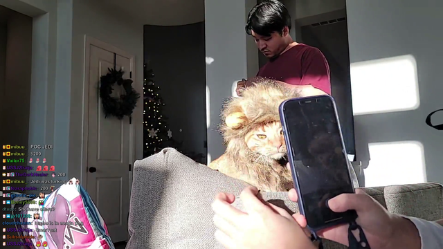 Esfand's Korean maids turn house cat into a lion