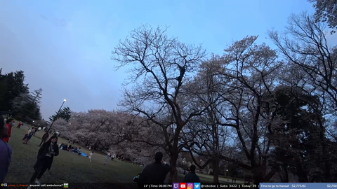 Angle of shibuya saves the day by climbing to the top of a tree
