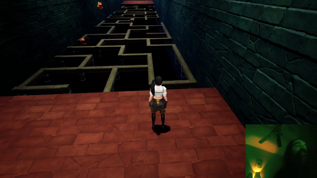 Aris likes Animal Crossing