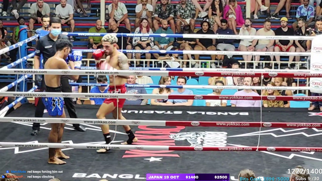 Boxer knocks out opponent with a clean bodyshot uppercut combo
