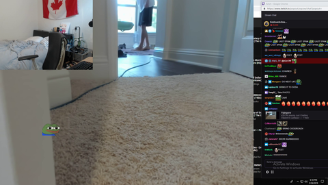 Soda's cat catches a lizard