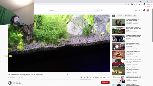 Nice on Forsen Pepepains