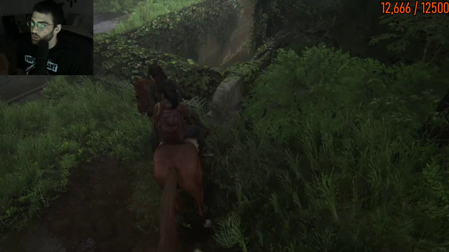 Hasan Wants To Make Sure His Horse Is Safe At All Ti-