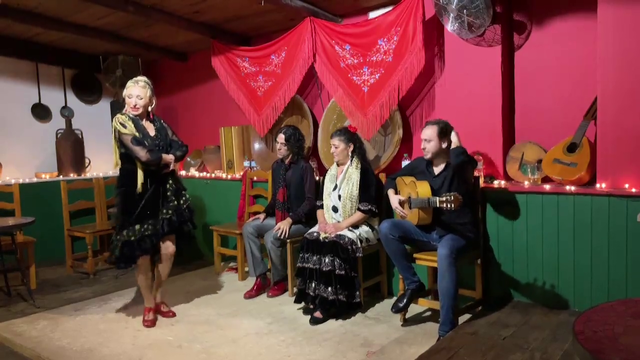 Professional Flamenco performance in Seville, Spain 💃