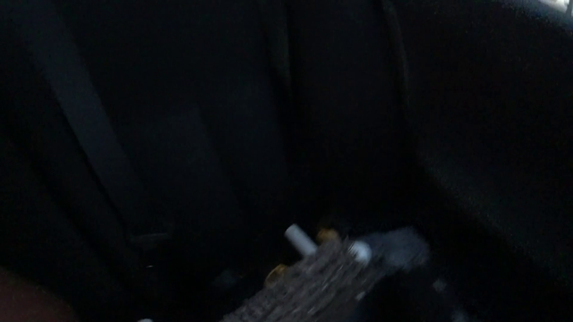 Maya Takes the Wheel