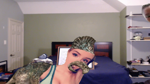 IRL Summed Up.