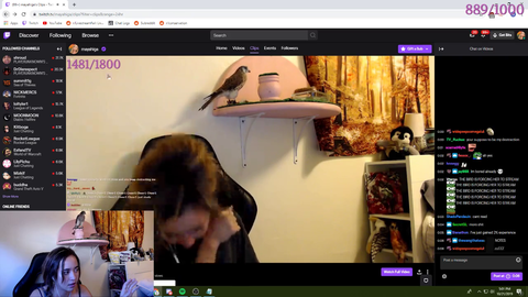 Maya discovers someone with a rare fetish has been clipping her vods