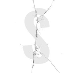SilverSpeakS
