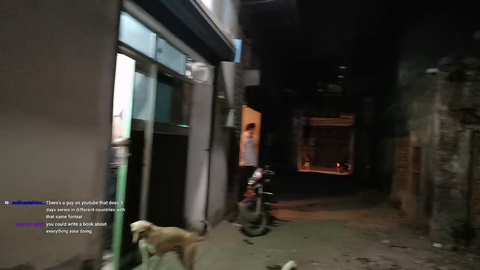 Streamer gets bit by a dog in india