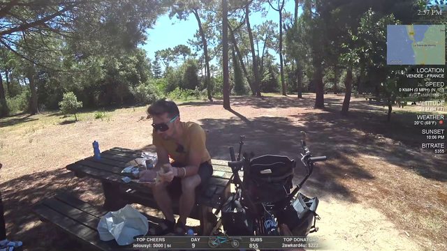 Hitch stalked by hungry bird