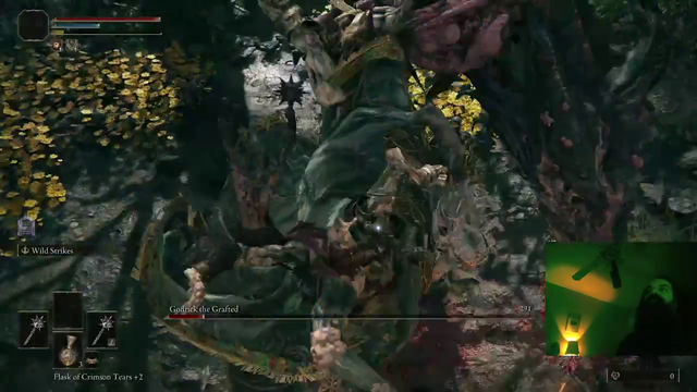 Aris Beats Godrick