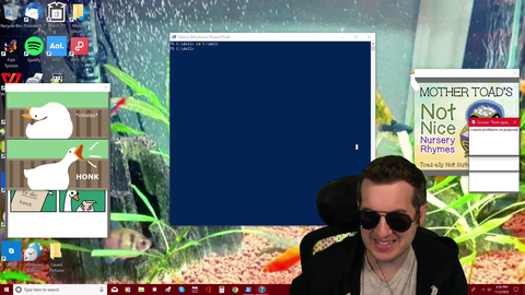 Kitboga wasn't muted. Scammer hears him say "scammer man."