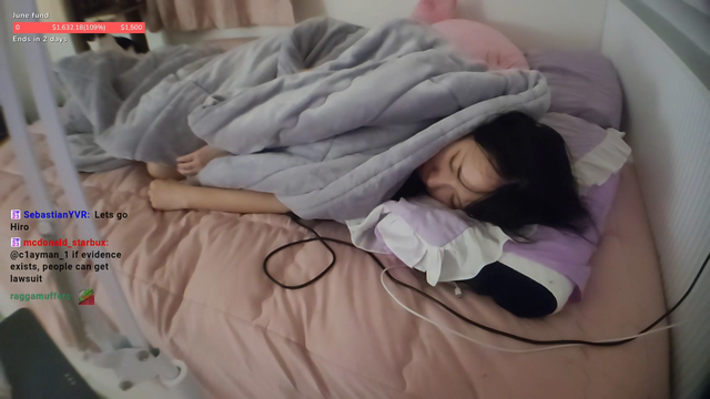 sleeping stream interrupted by cat