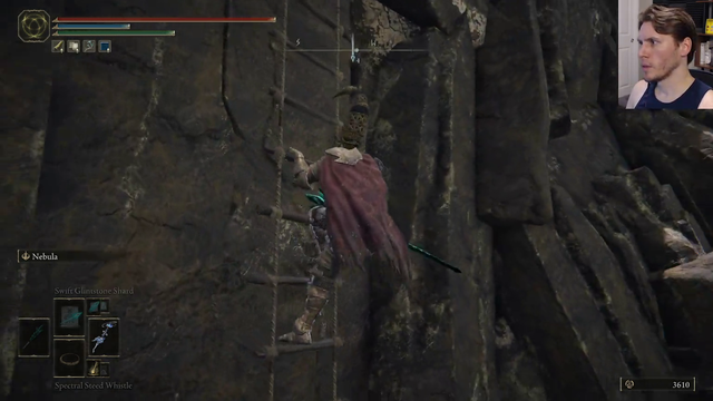 Why Is the Ladder There?