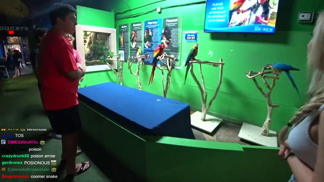 A parrot says hello to Alinity