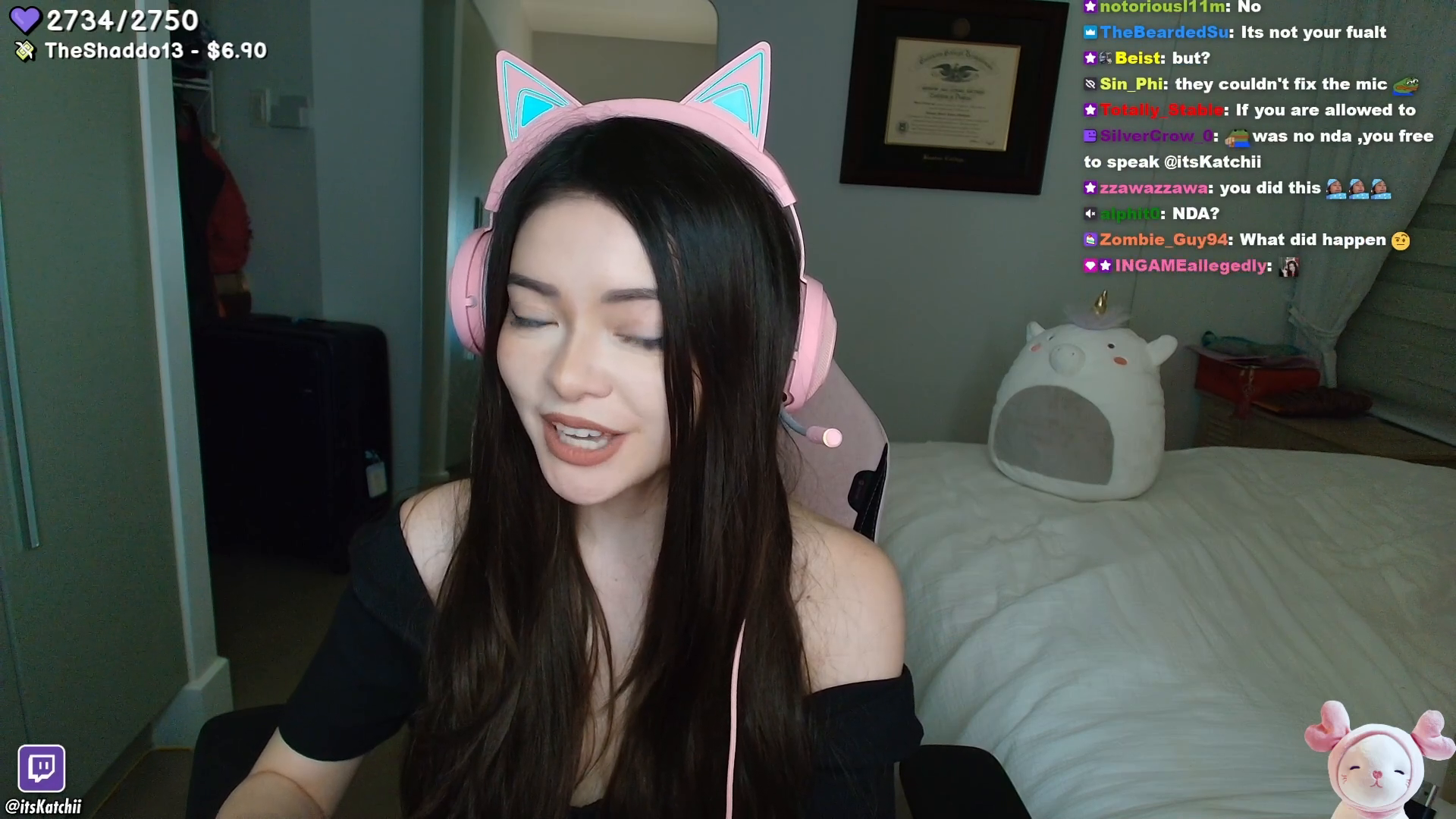 Katchii's expressive face