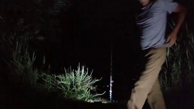 Alec : The Most Expensive Bait in the World.