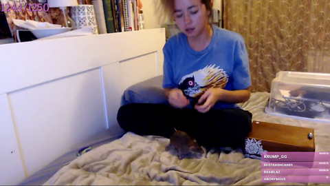 Maya teaching her rat to spin
